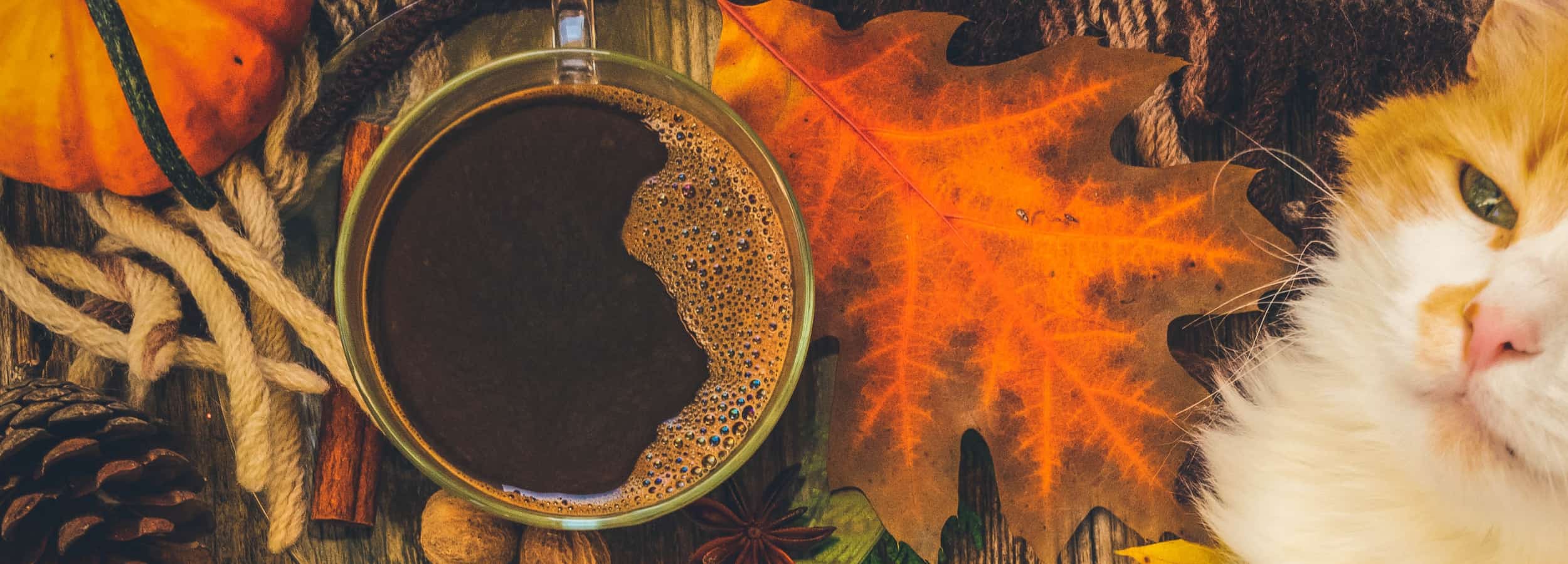 Cup of coffee with a cat and autumn leaves on a textured surface