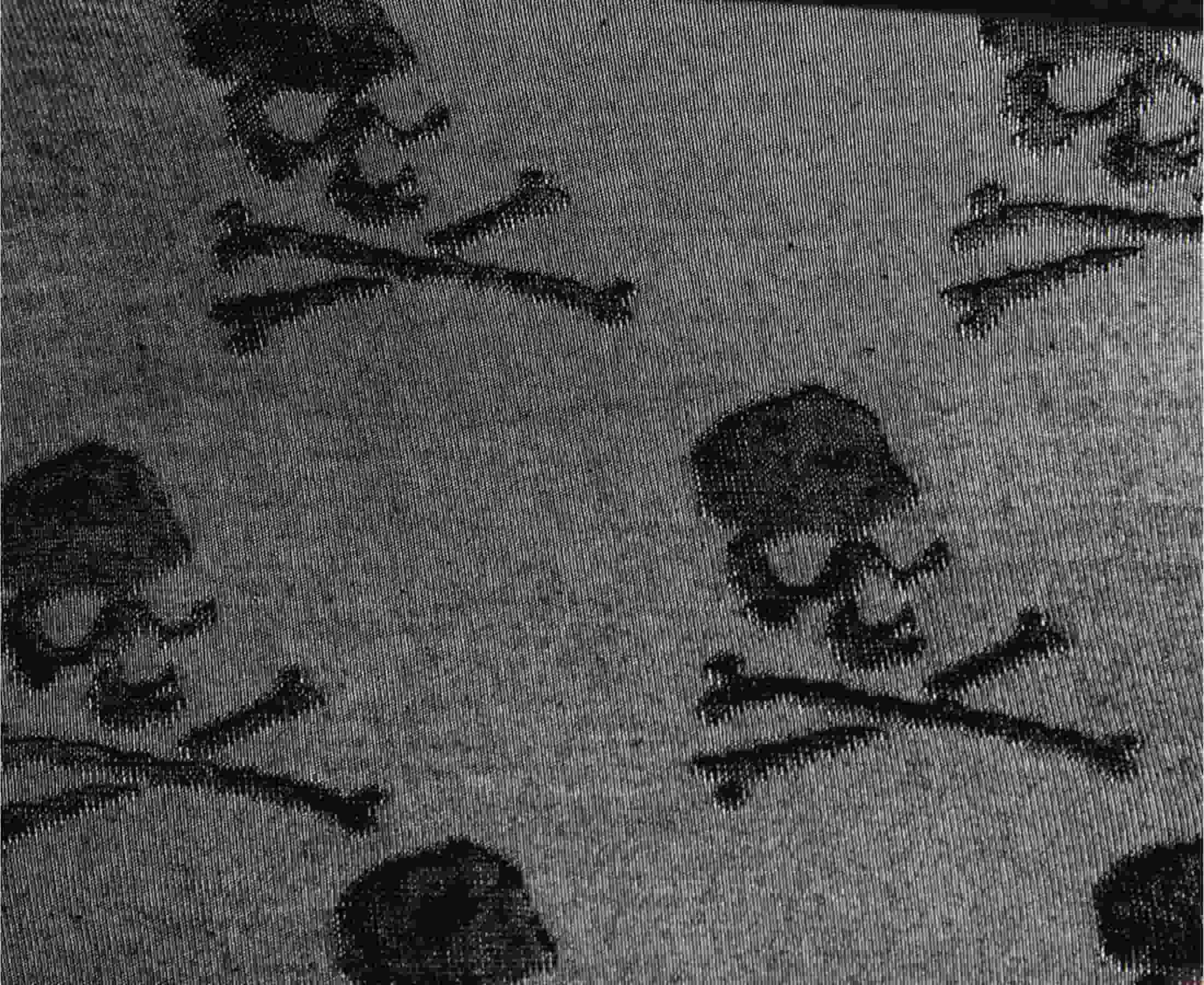 Detailed view of black fabric with jacquard skull and cross bones pattern