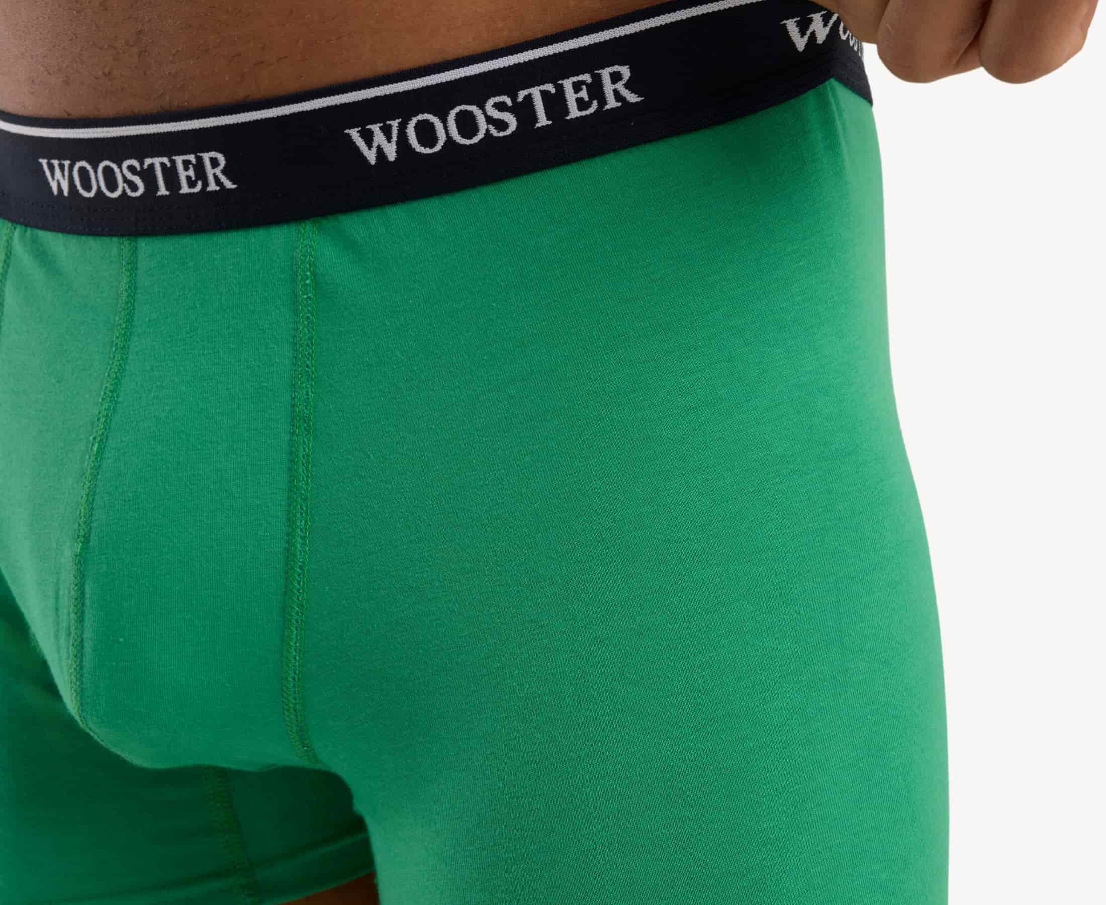 Close-up view of men’s 95% cotton boxer brief in meadow green with relaxed fit, showcasing waistband stretch and color