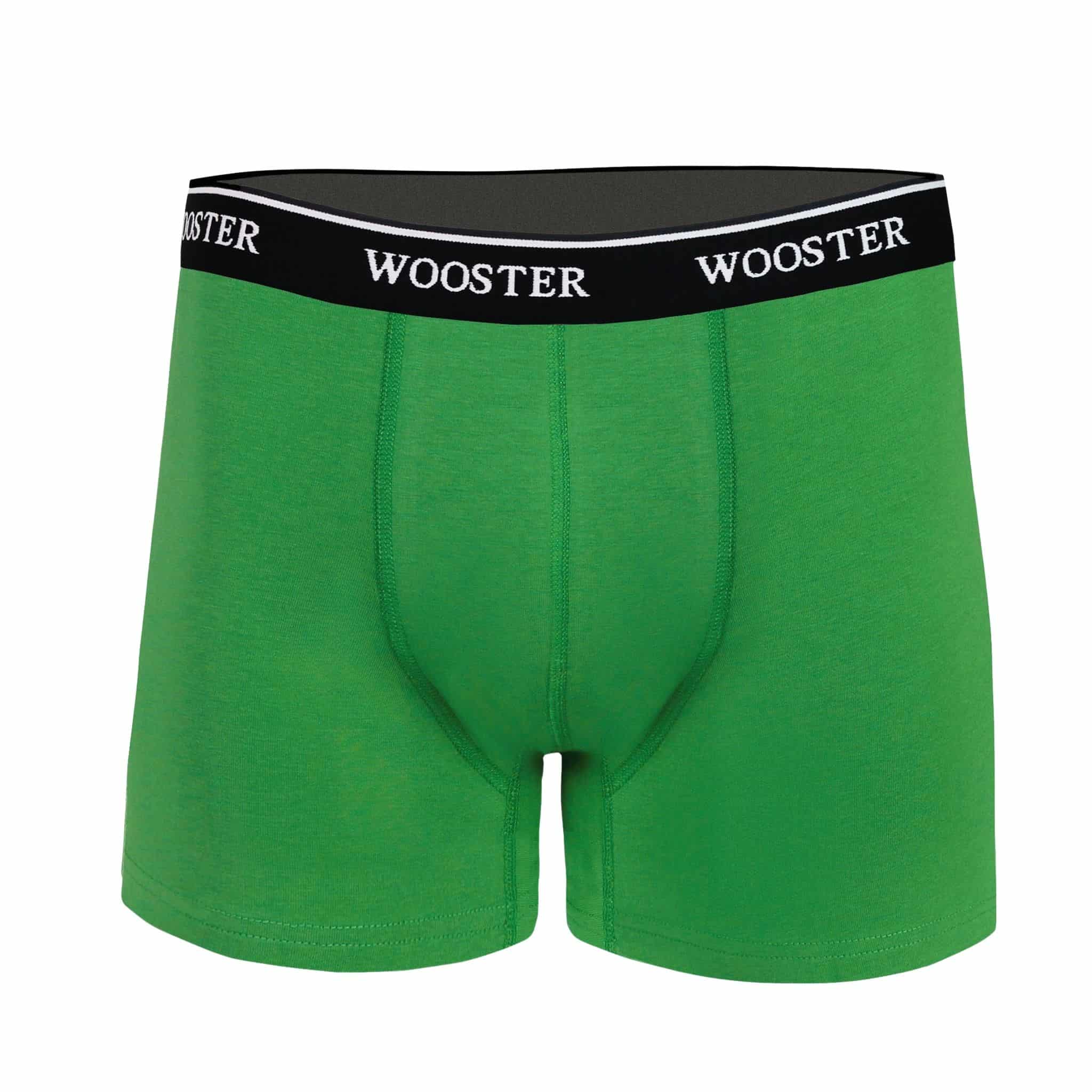 Front view of men’s 95% cotton boxer brief in meadow green with relaxed fit, soft stretch cotton, and no-roll waistband